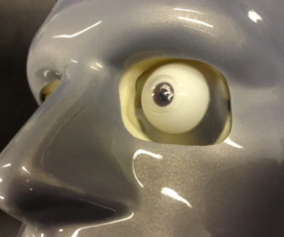 Silicone Eye for Surgery Training